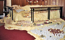 Salt People Display.